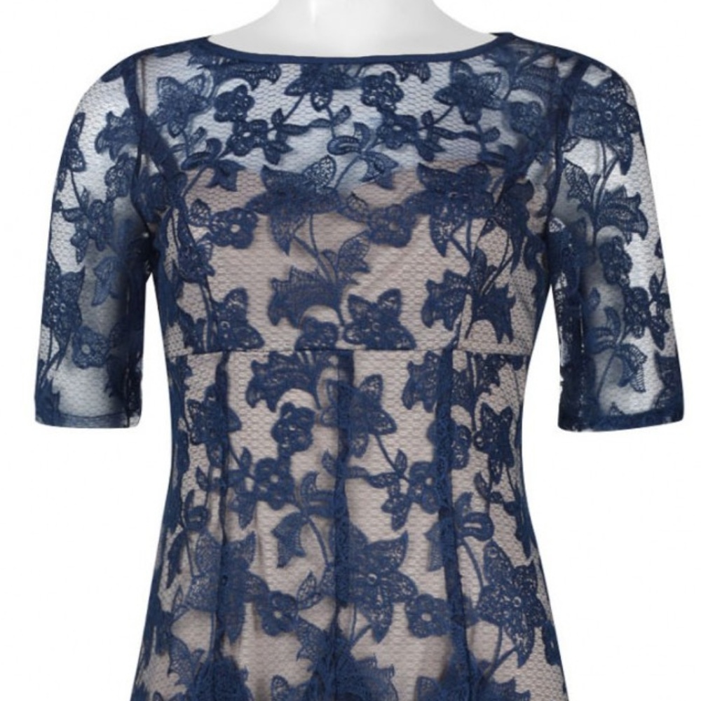 Adrianna Papell Pleated Embroidered Mesh Dress - Picture 4 of 6